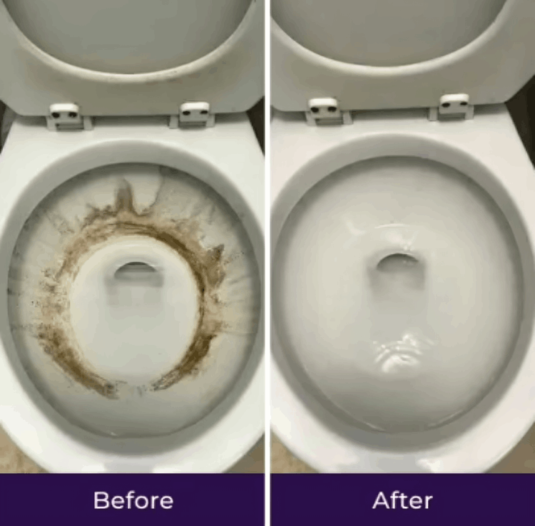 Fizzclean customer - Sarah M. Florida, USA